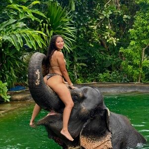 Cheetah print one piece from fashion nova